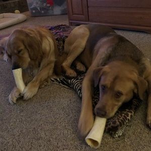 Meet your Posher, Lori